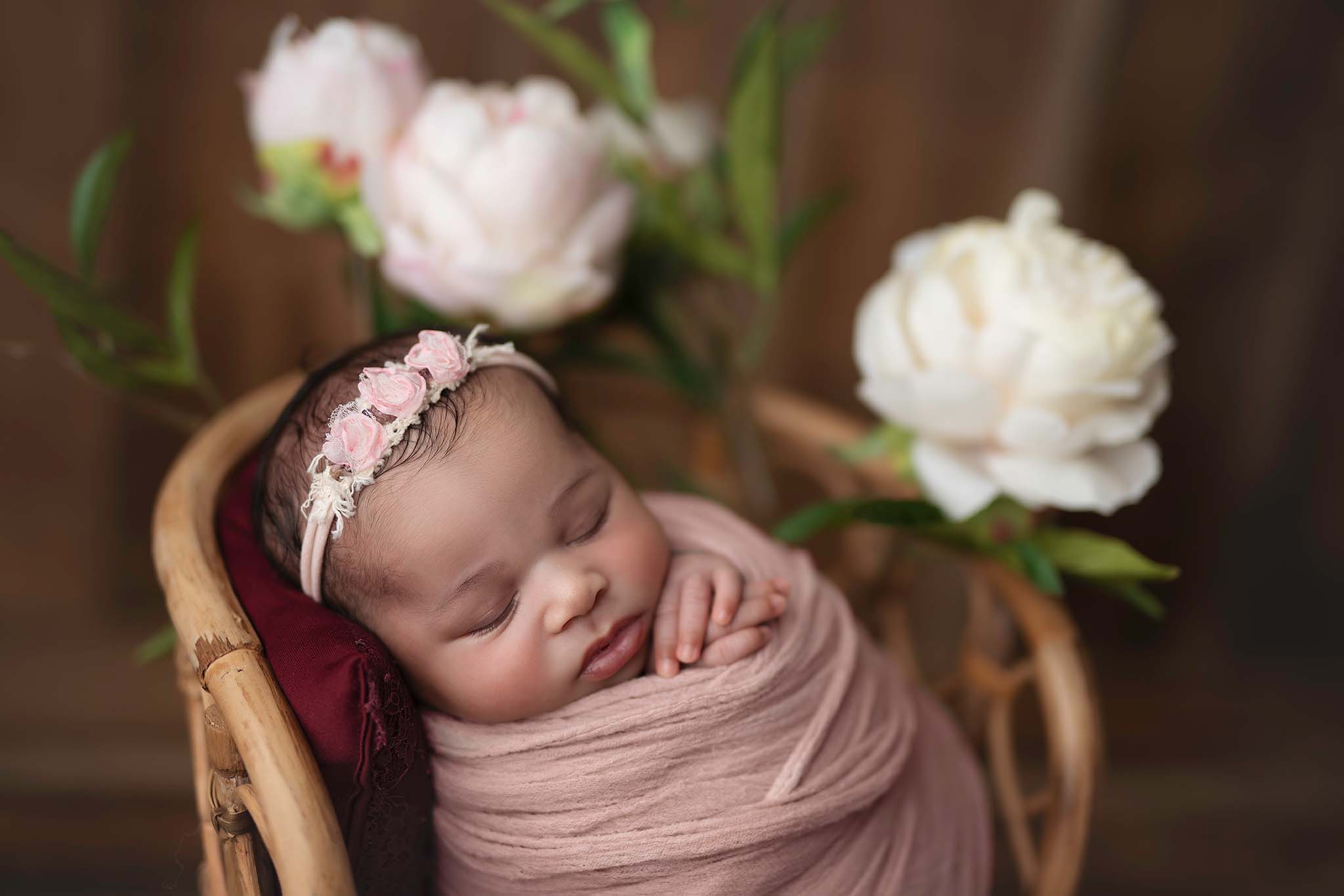 Gallery Newborn Mini Photoshoot